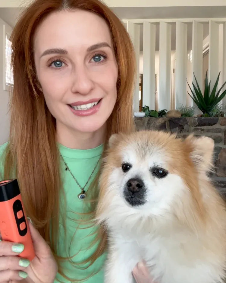 Ultra Sonic Dog Bark Deterrent