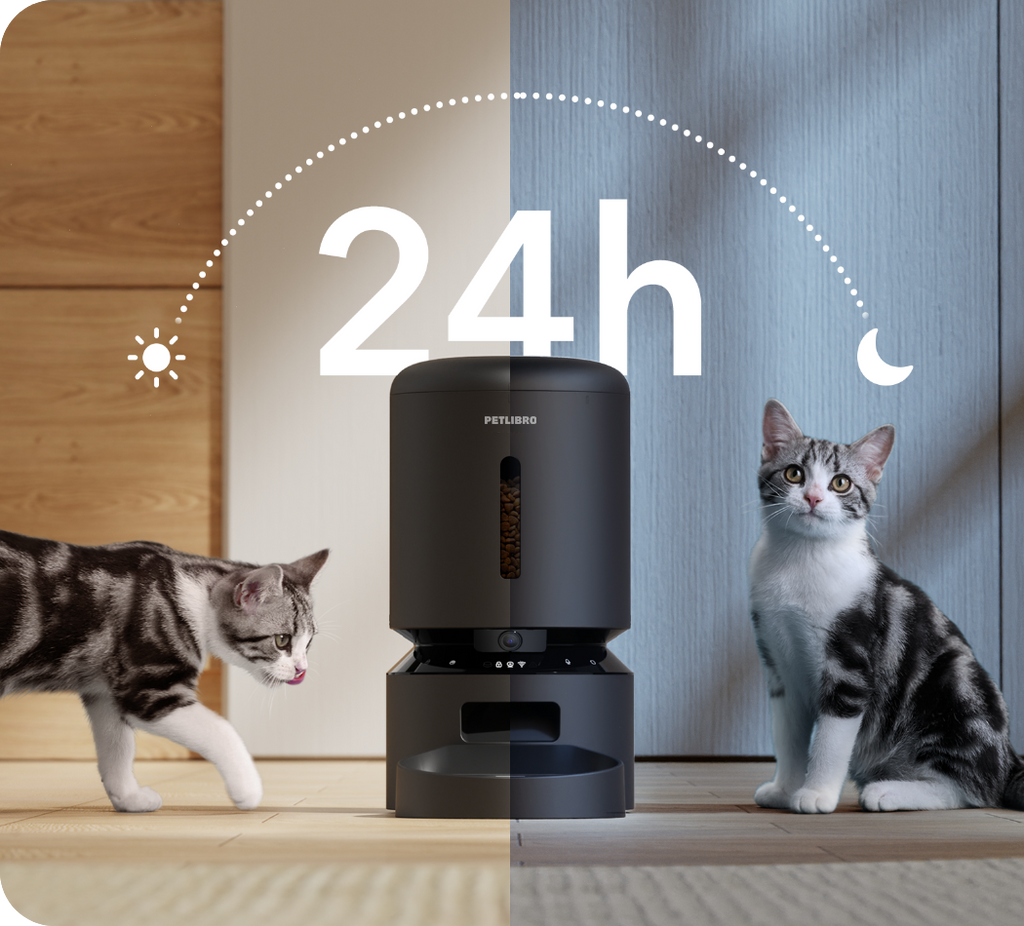 Nexova Smart Pet Camera Feeder