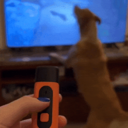 Ultra Sonic Dog Bark Deterrent